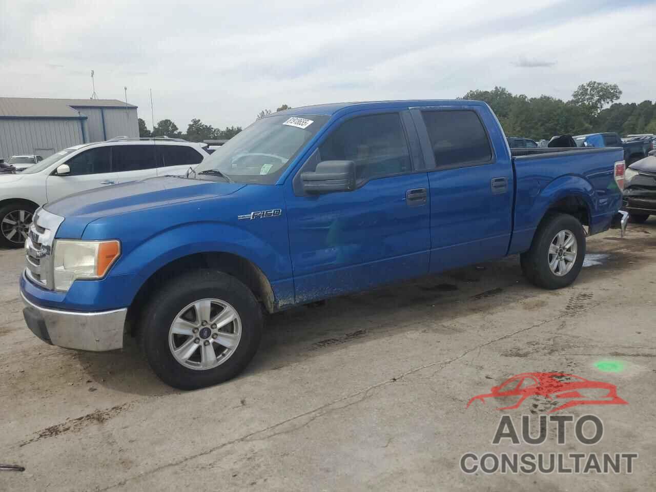 FORD F-150 2009 - 1FTPW12V69KC71707