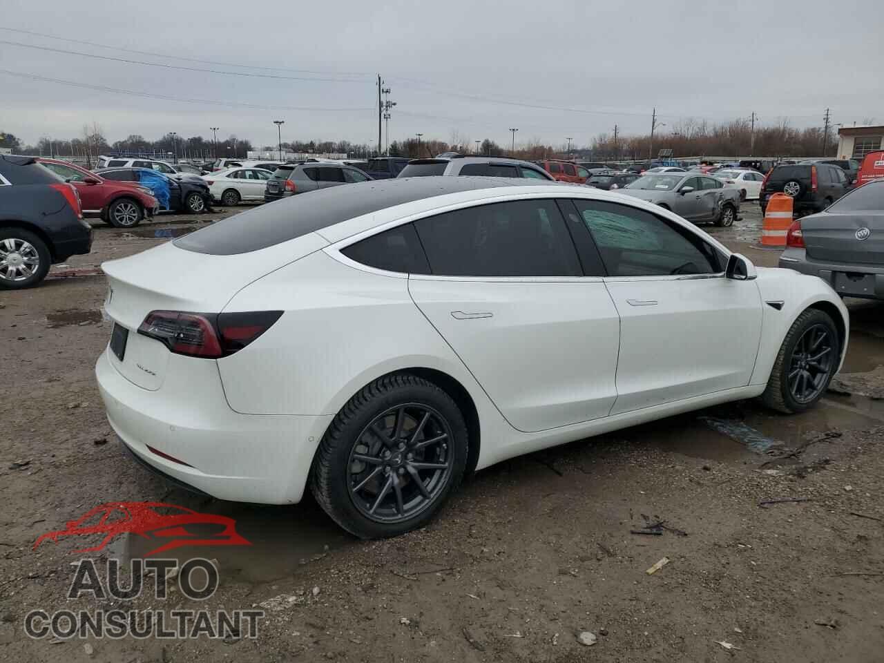 TESLA MODEL 3 2019 - 5YJ3E1EB9KF469834