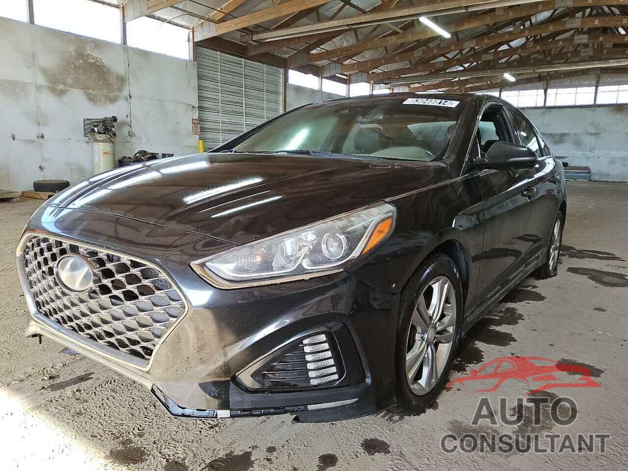 HYUNDAI SONATA 2019 - 5NPE34AF2KH781309