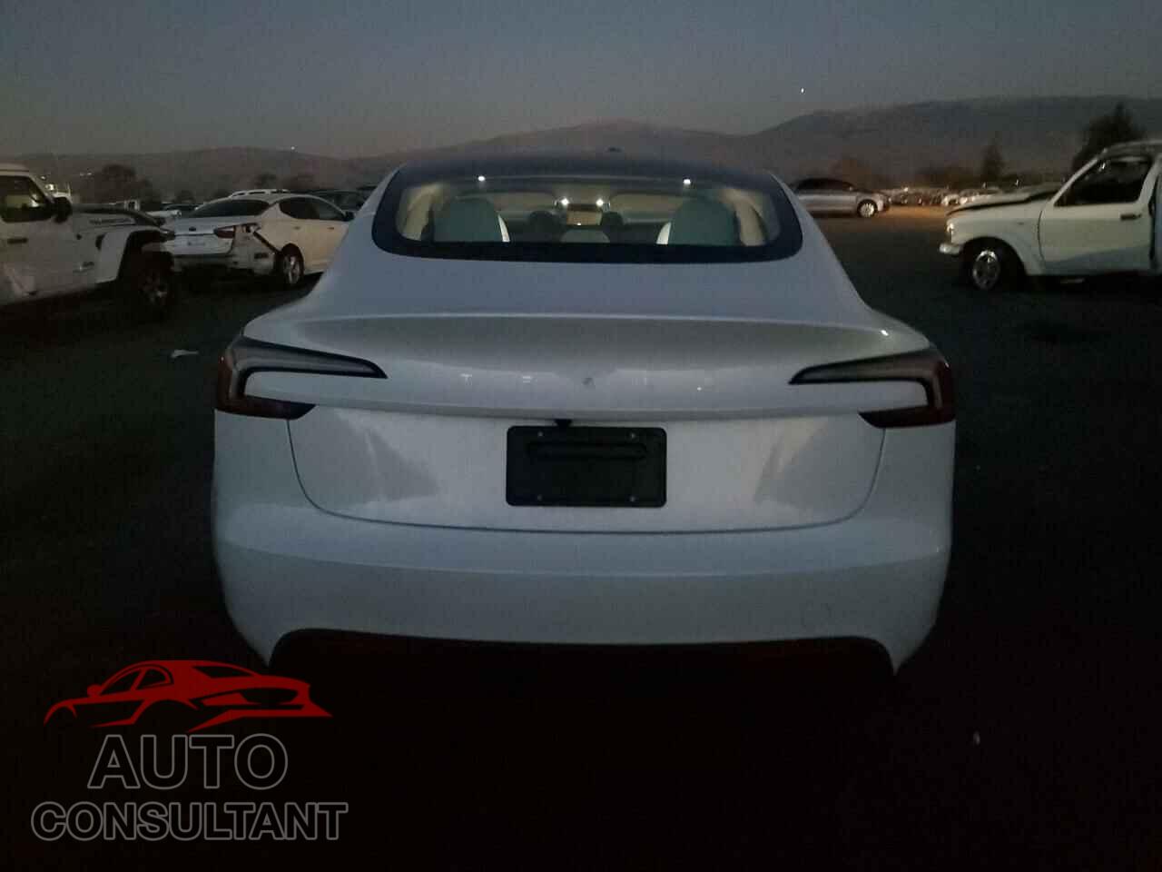 TESLA MODEL 3 2025 - 5YJ3E1EA8SF889883