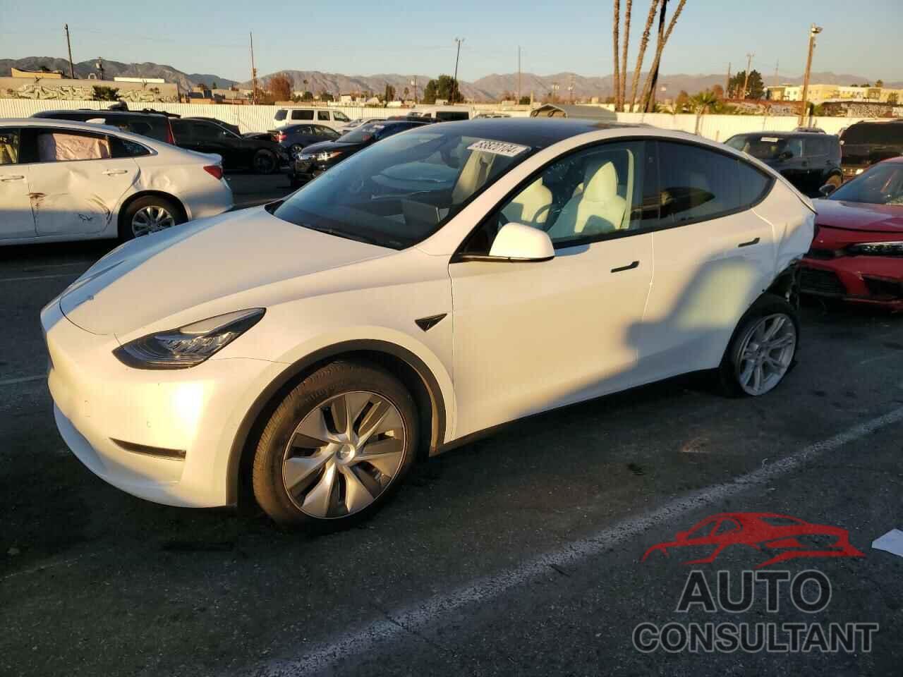 TESLA MODEL Y 2022 - 7SAYGDEE5NF451494