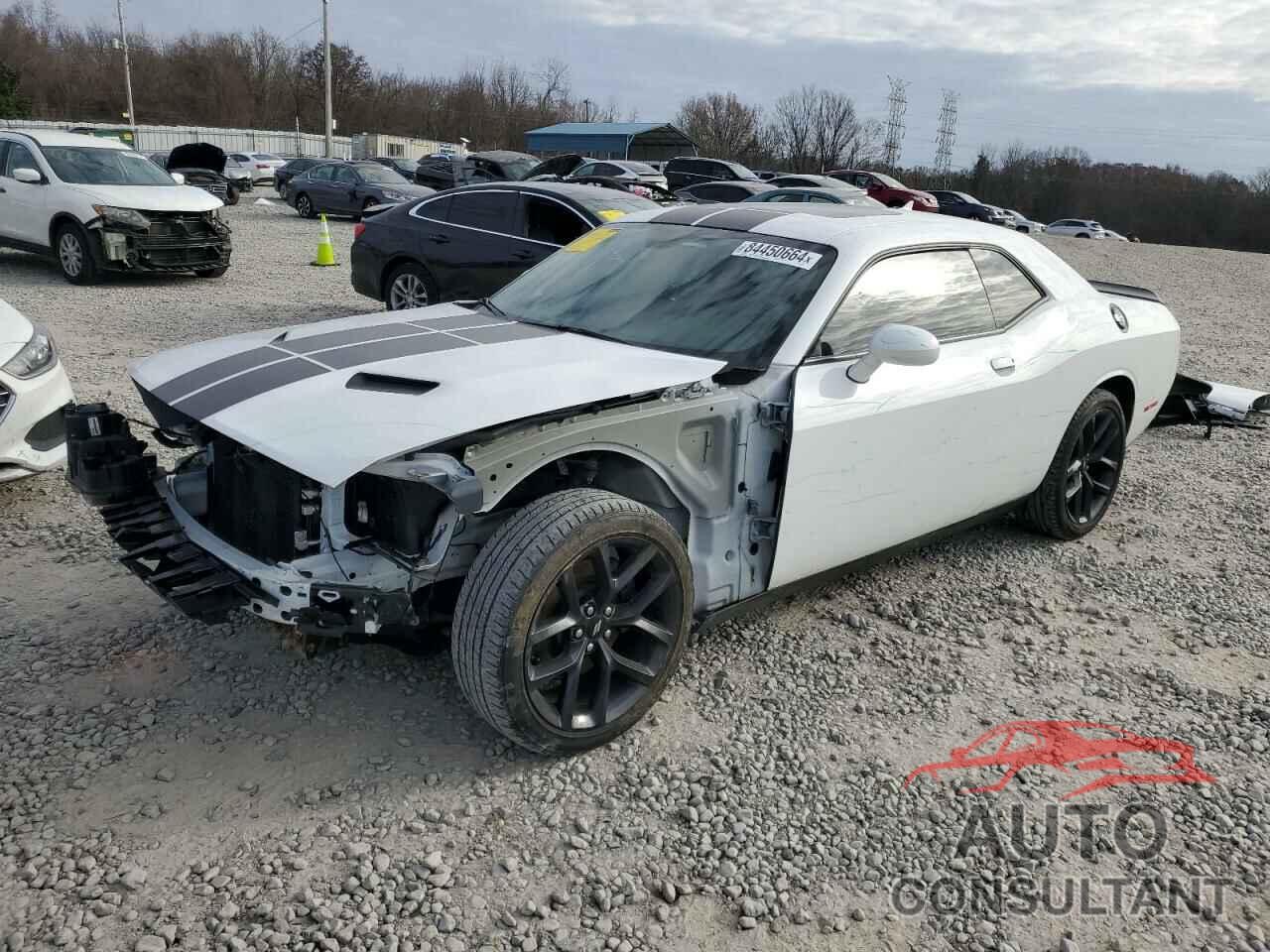 DODGE CHALLENGER 2019 - 2C3CDZAG7KH507577