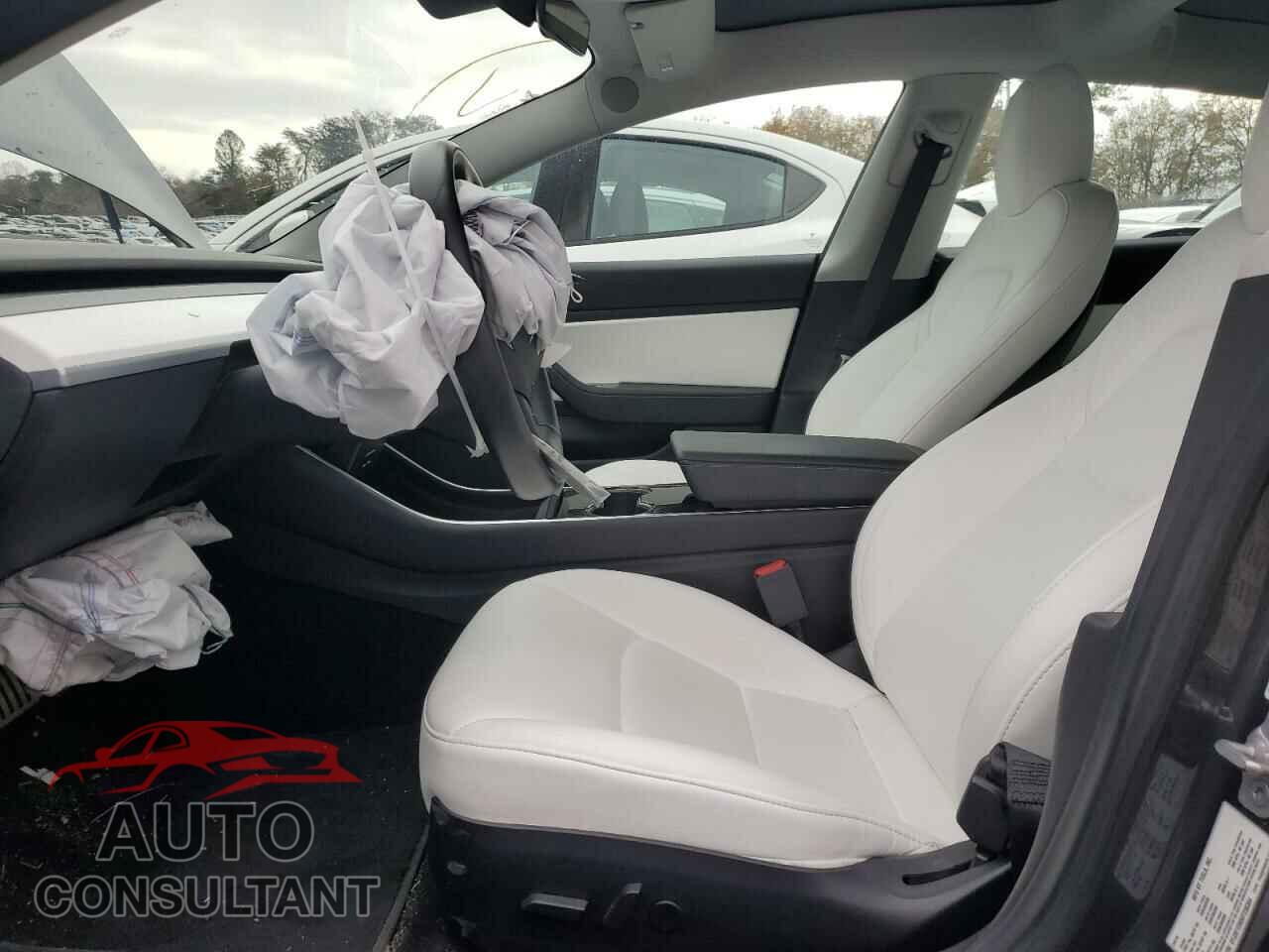 TESLA MODEL 3 2019 - 5YJ3E1EB0KF238384