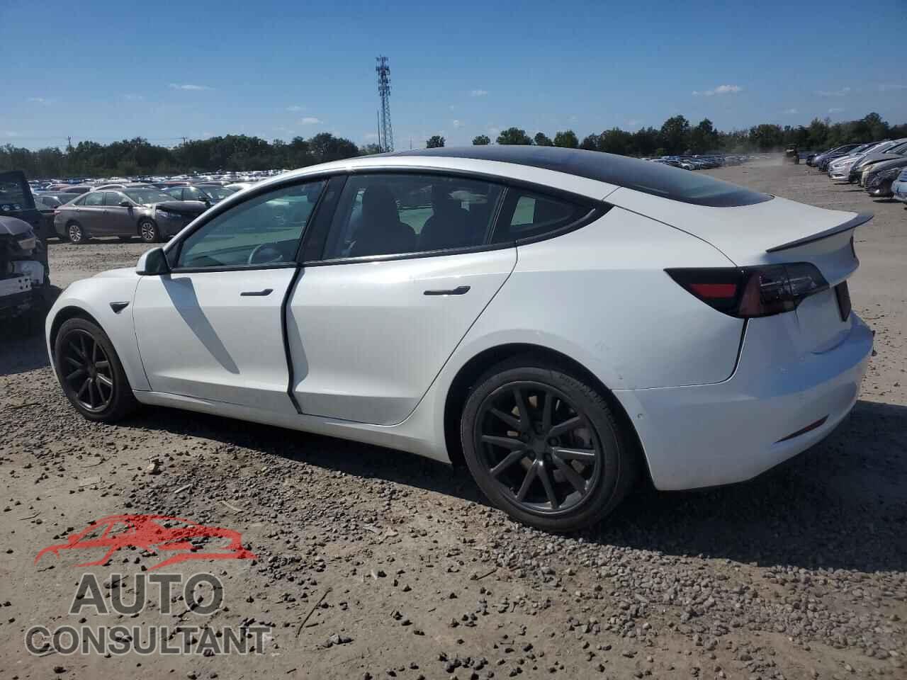 TESLA MODEL 3 2021 - 5YJ3E1EA2MF087543