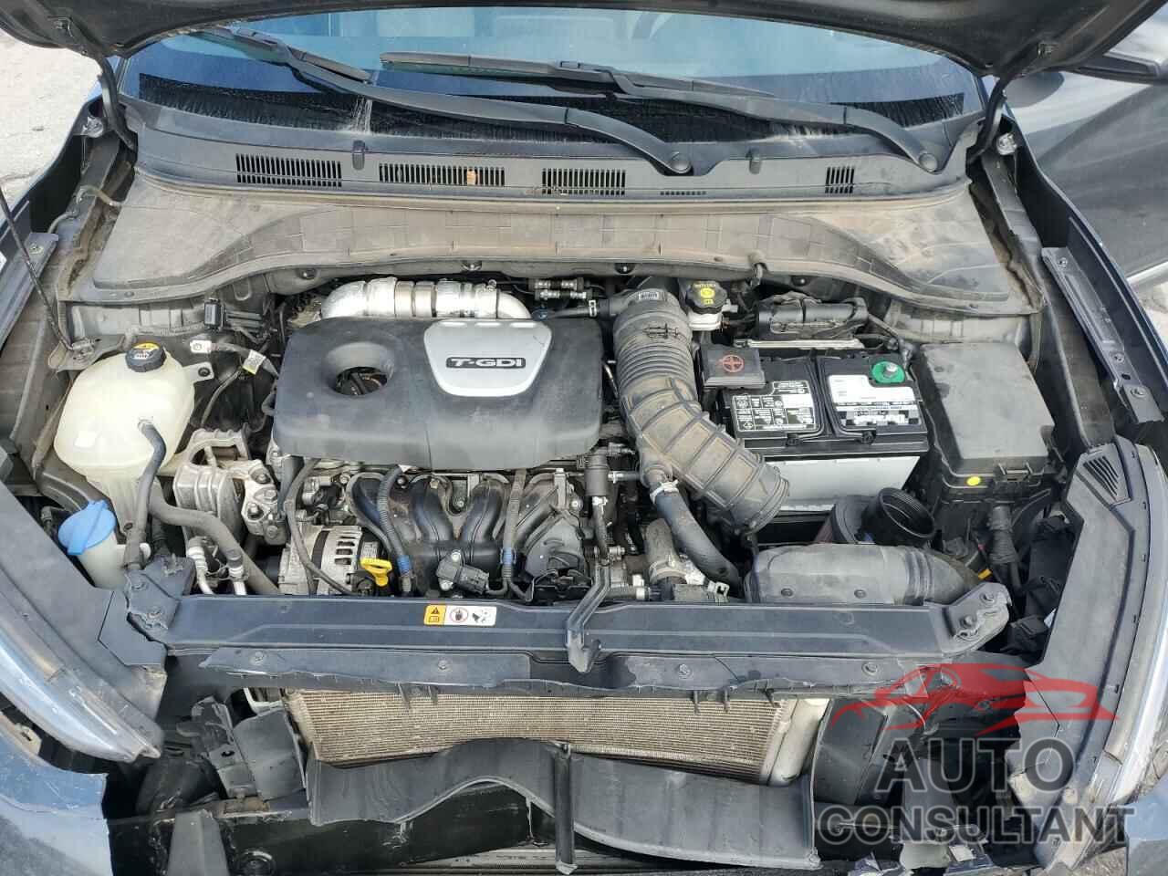 HYUNDAI KONA 2019 - KM8K33A56KU350185