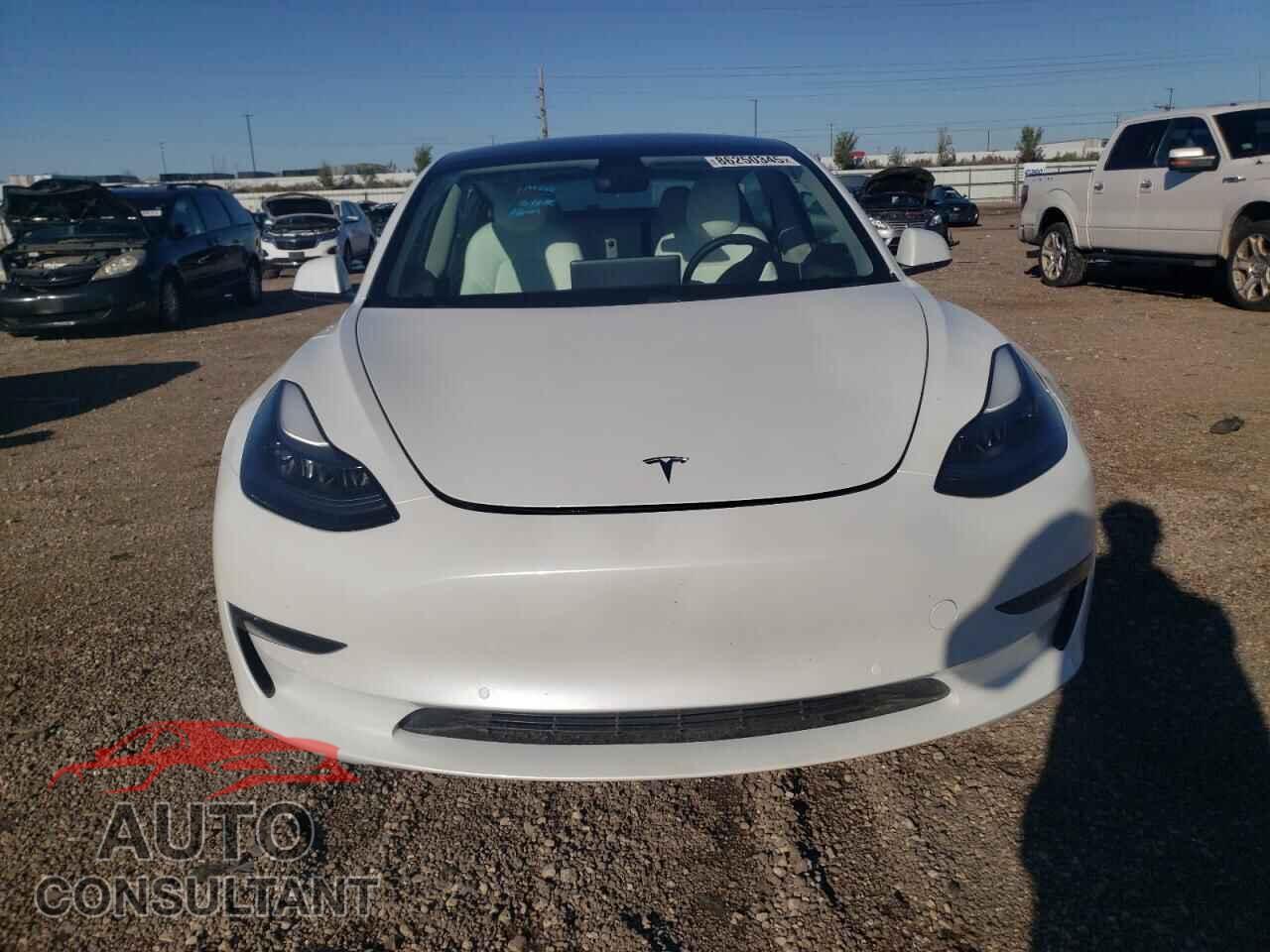 TESLA MODEL 3 2021 - 5YJ3E1EB5MF061978