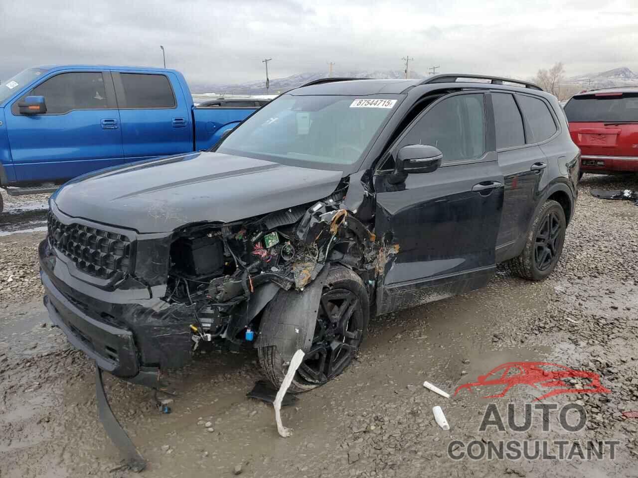 KIA TELLURIDE 2025 - 5XYP5DGC2SG579688