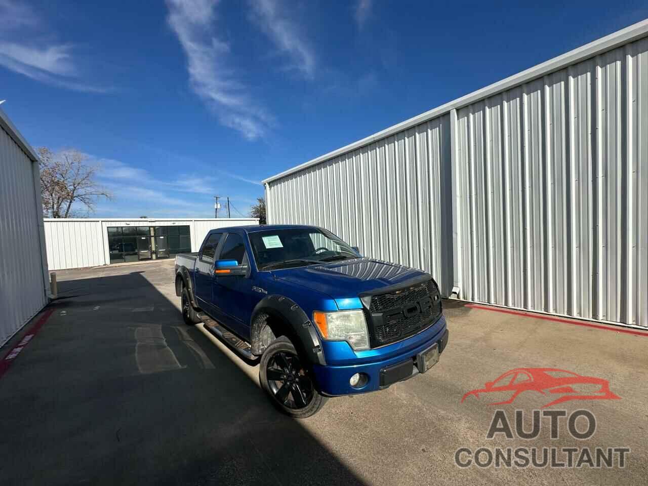 FORD F-150 2009 - 1FTPW14V39KC13289