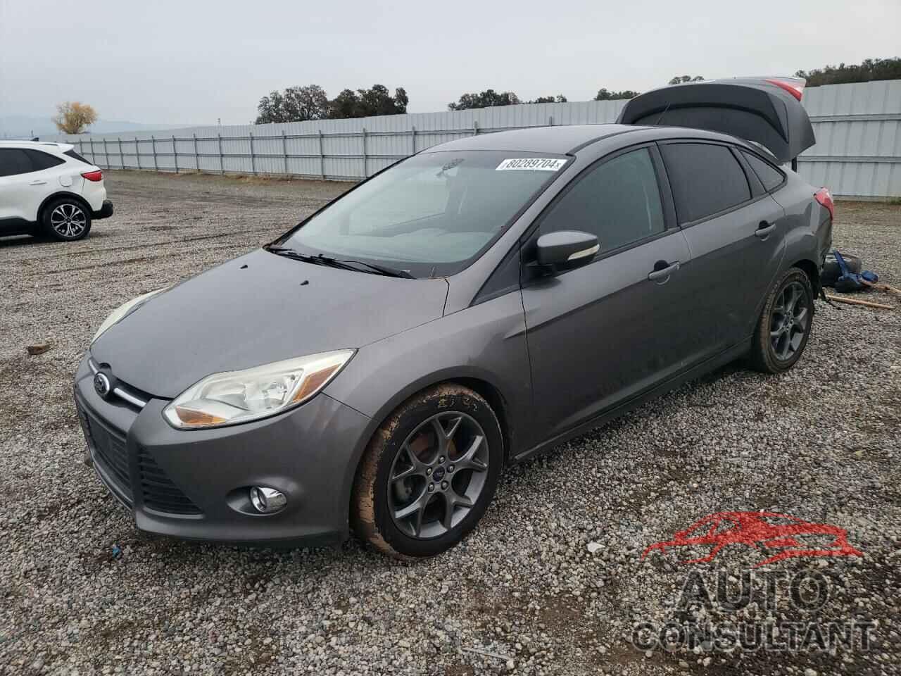 FORD FOCUS 2013 - 1FADP3F2XDL343092