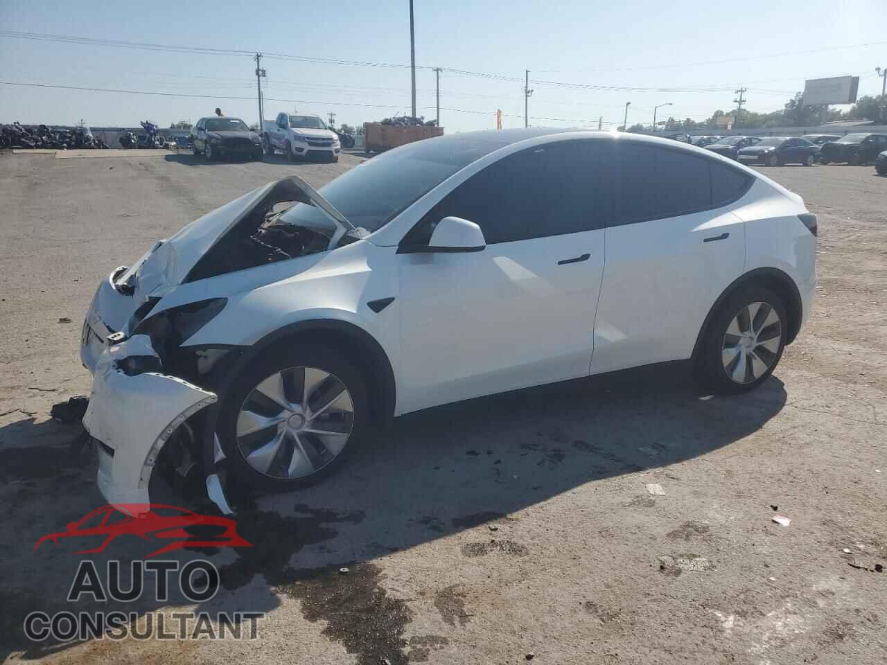 TESLA MODEL Y 2023 - 7SAYGAEEXPF595155