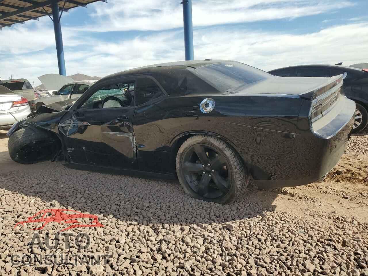 DODGE CHALLENGER 2013 - 2C3CDYAG3DH676024