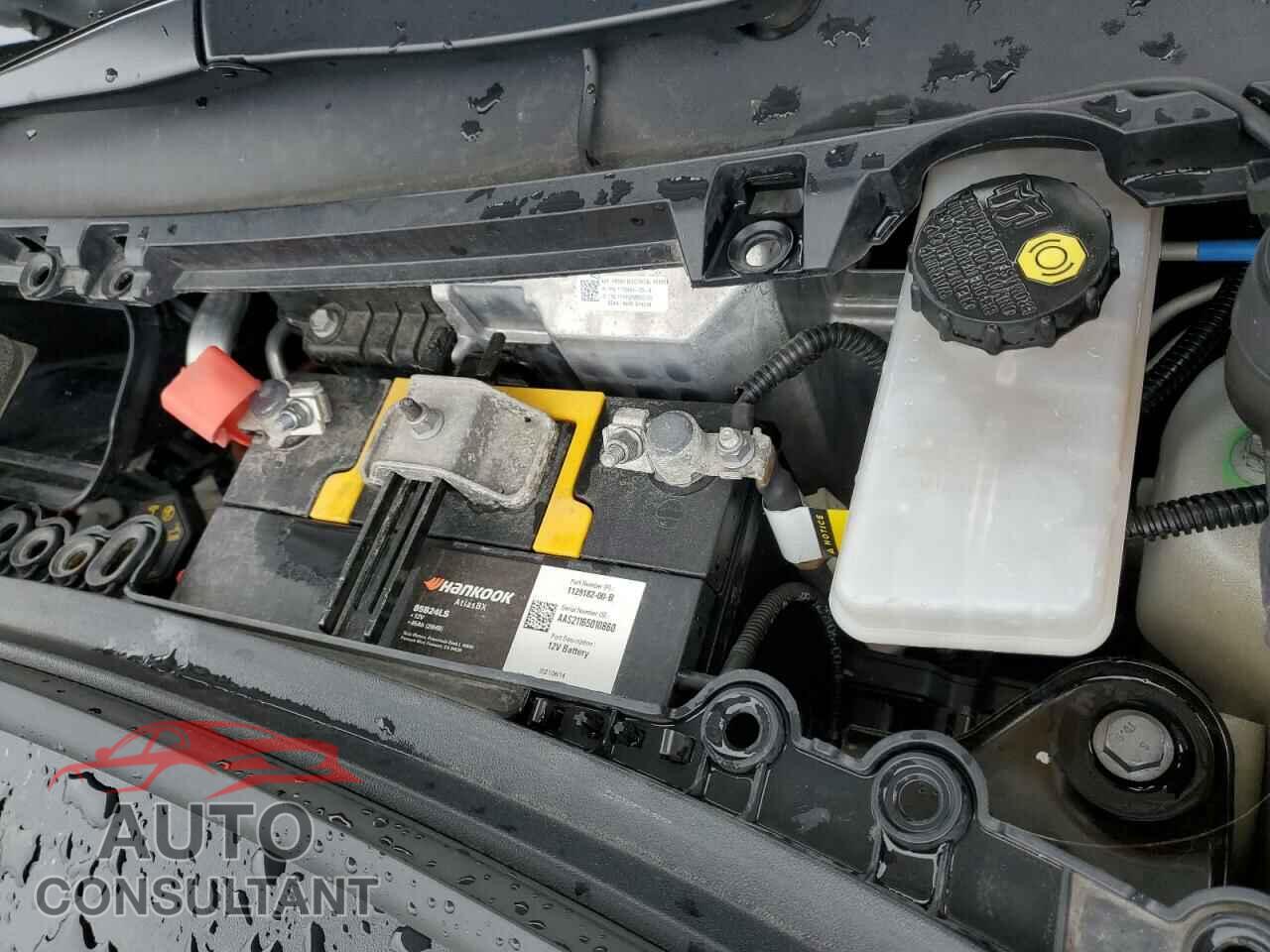 TESLA MODEL 3 2019 - 5YJ3E1EB2KF510692
