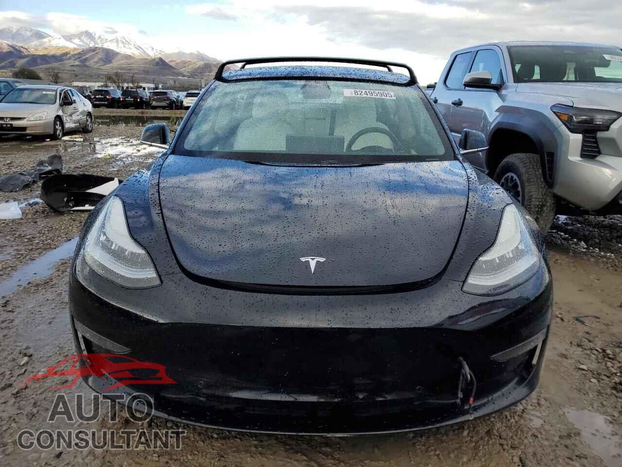 TESLA MODEL 3 2019 - 5YJ3E1EB5KF450505