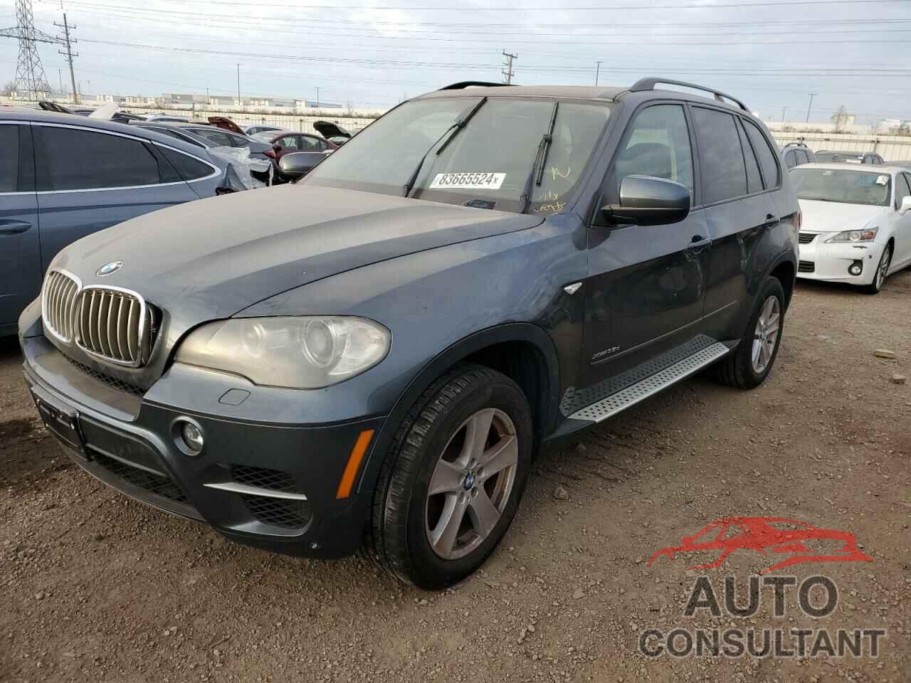 BMW X5 2011 - 5UXZW0C51BL655345