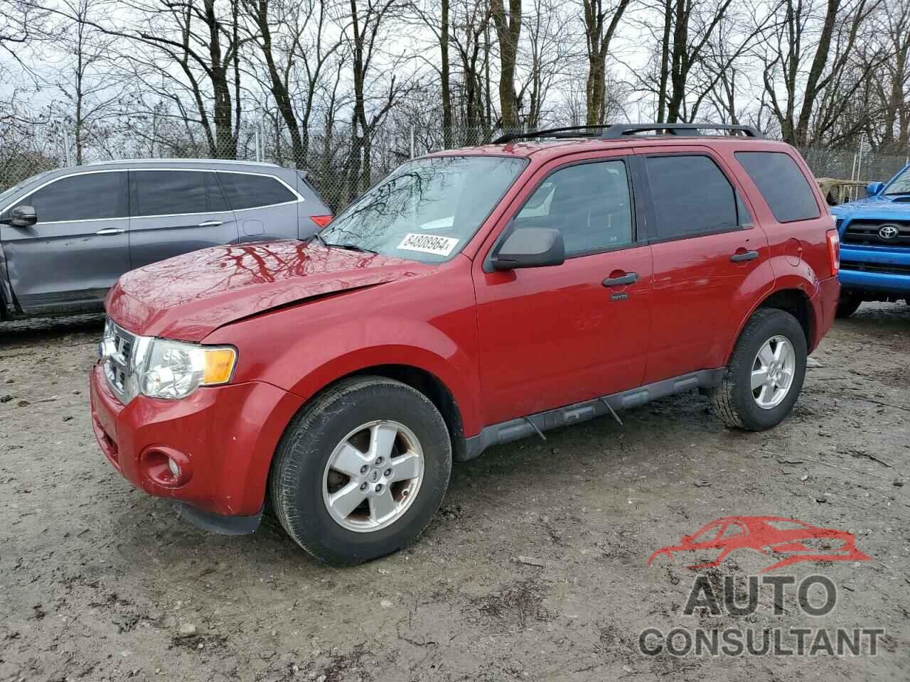 FORD ESCAPE 2011 - 1FMCU9DG2BKC16979