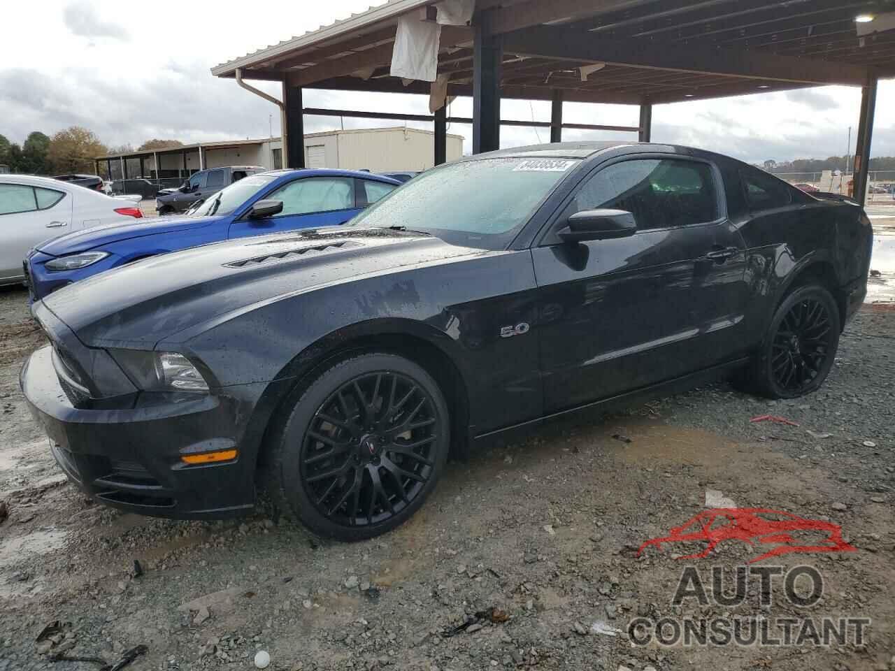 FORD MUSTANG 2014 - 1ZVBP8CF2E5282555