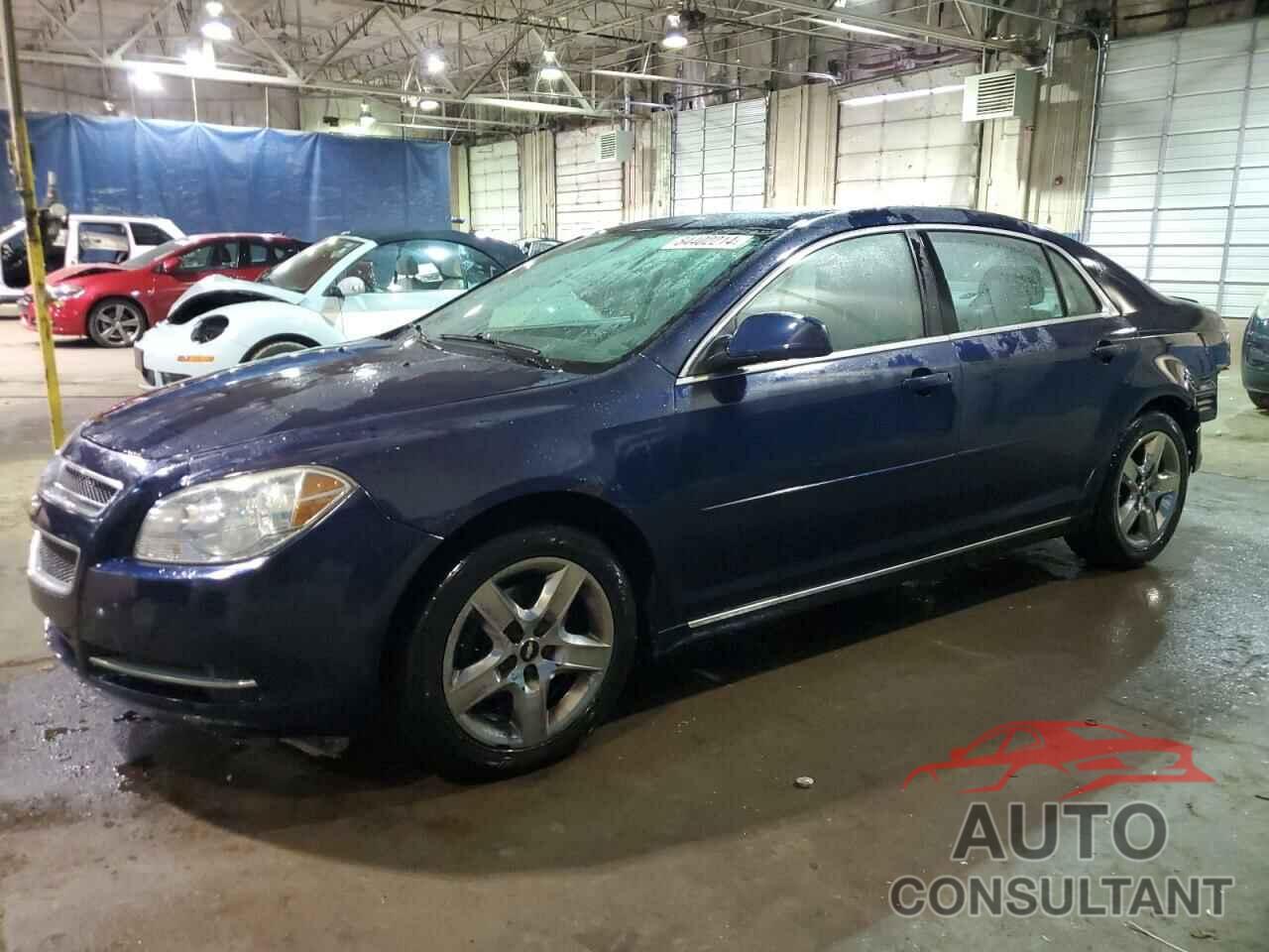 CHEVROLET MALIBU 2010 - 1G1ZC5EB0AF303518
