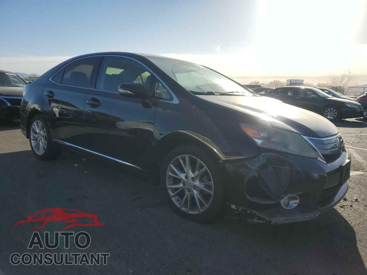 LEXUS HS 2010 - JTHBB1BAXA2020453