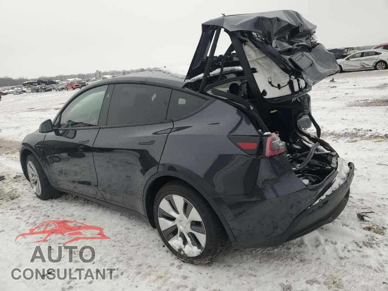 TESLA MODEL Y 2024 - 7SAYGDED6RF092587