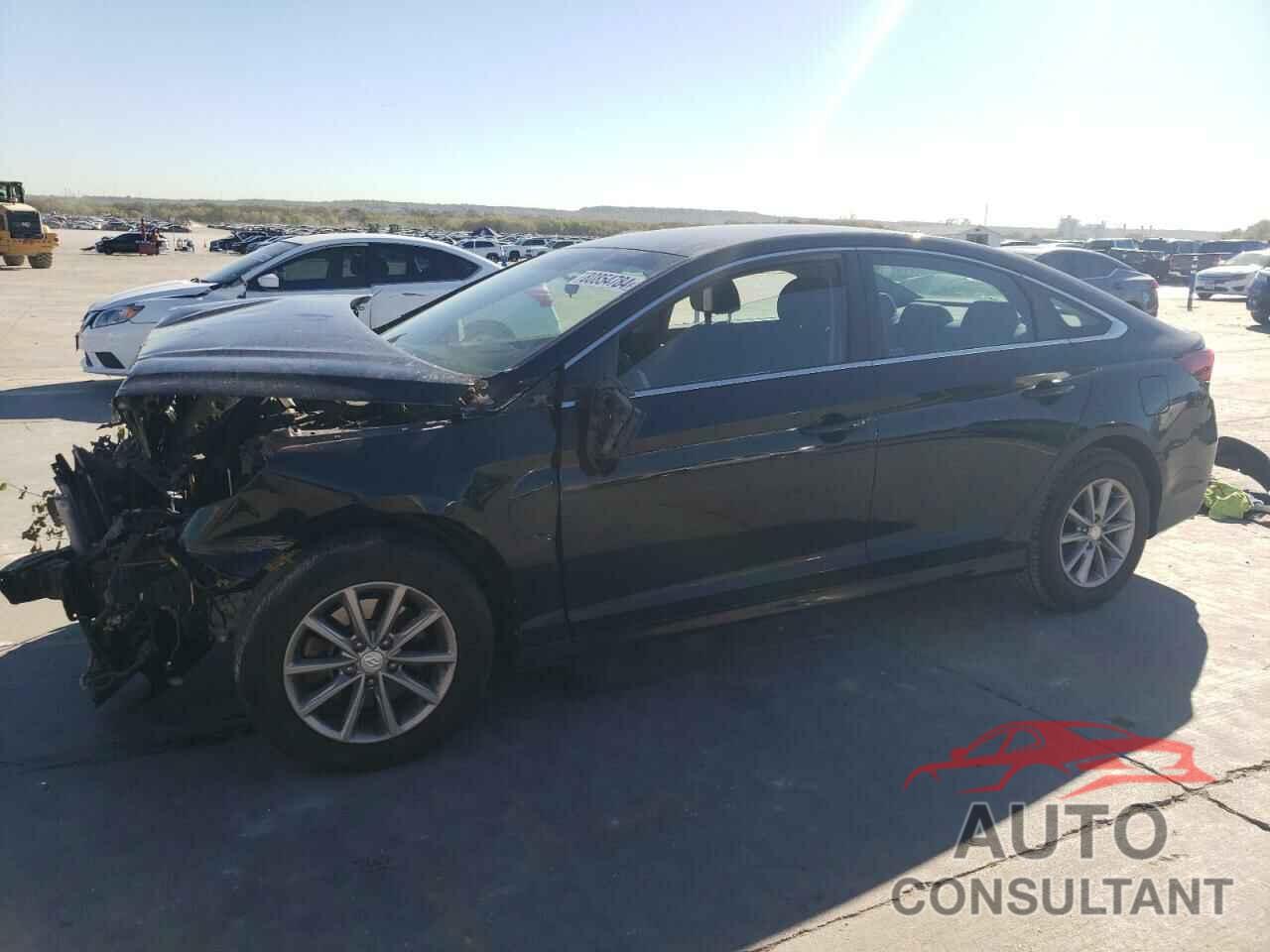 HYUNDAI SONATA 2019 - 5NPE24AF5KH743110