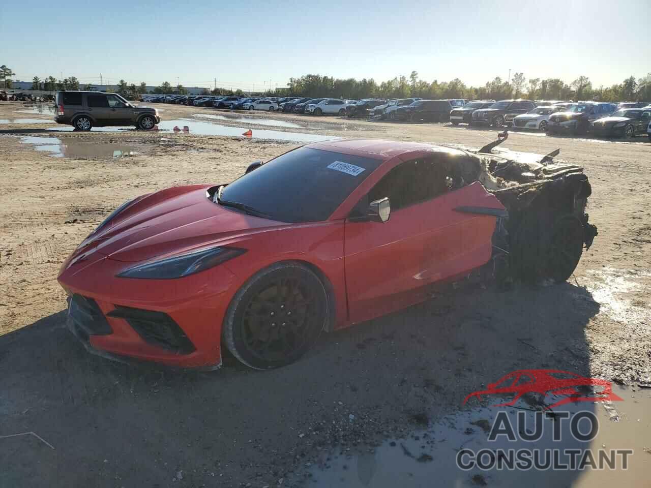 CHEVROLET CORVETTE 2024 - 1G1YB2D43R5120454