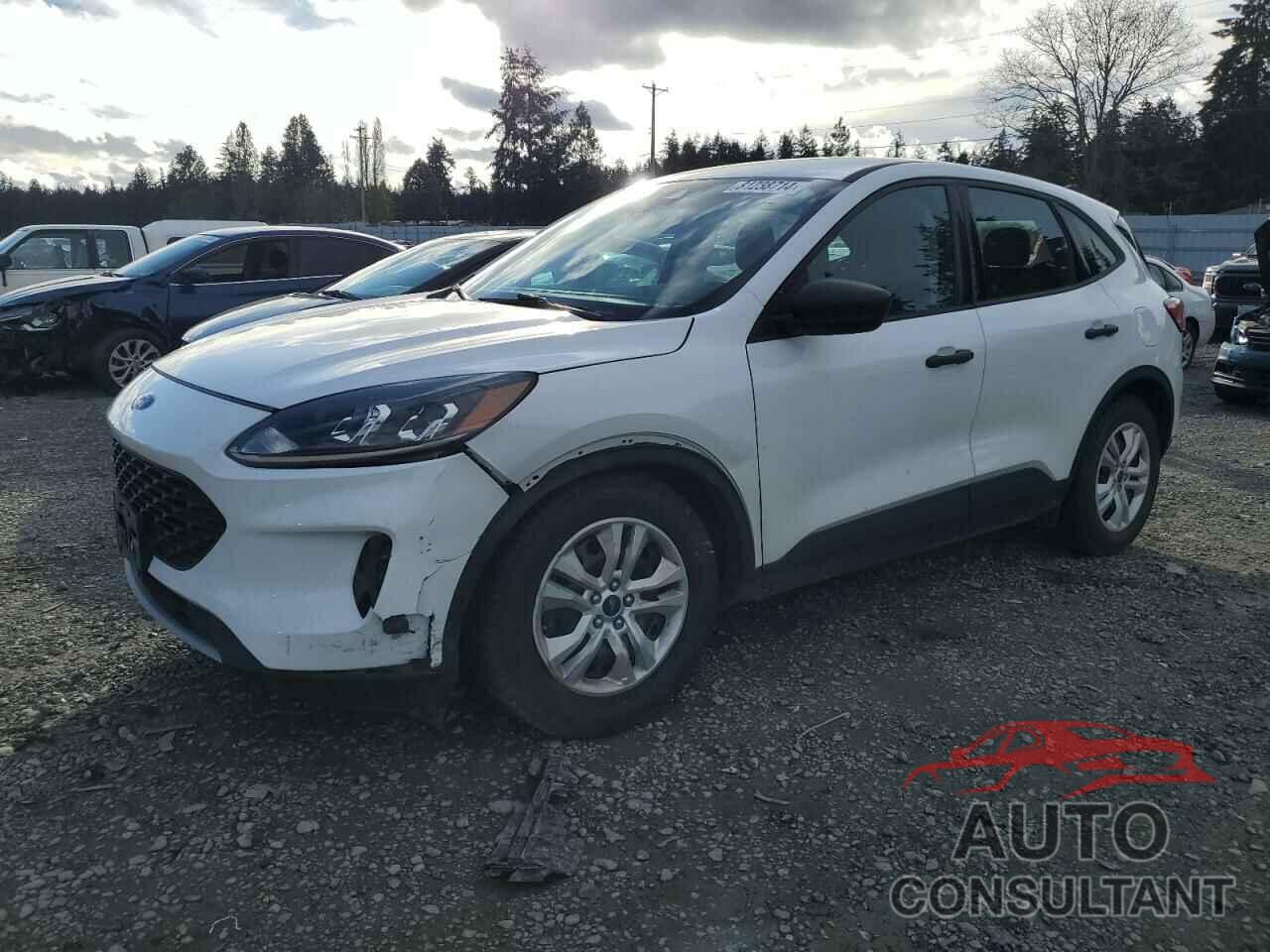 FORD ESCAPE 2021 - 1FMCU0F68MUA42195