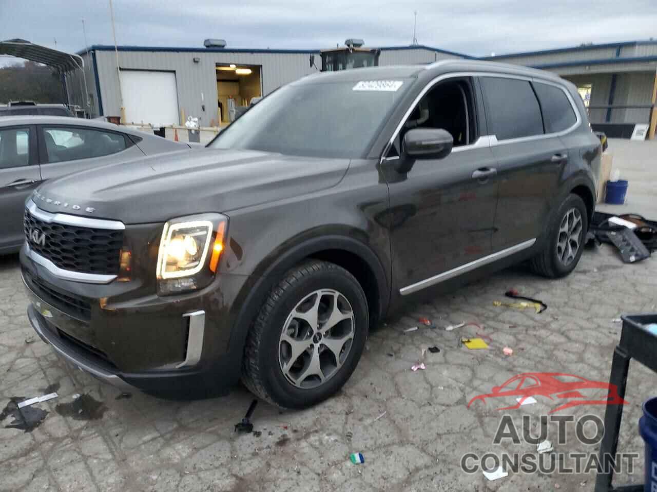 KIA TELLURIDE 2022 - 5XYP3DHCXNG314011