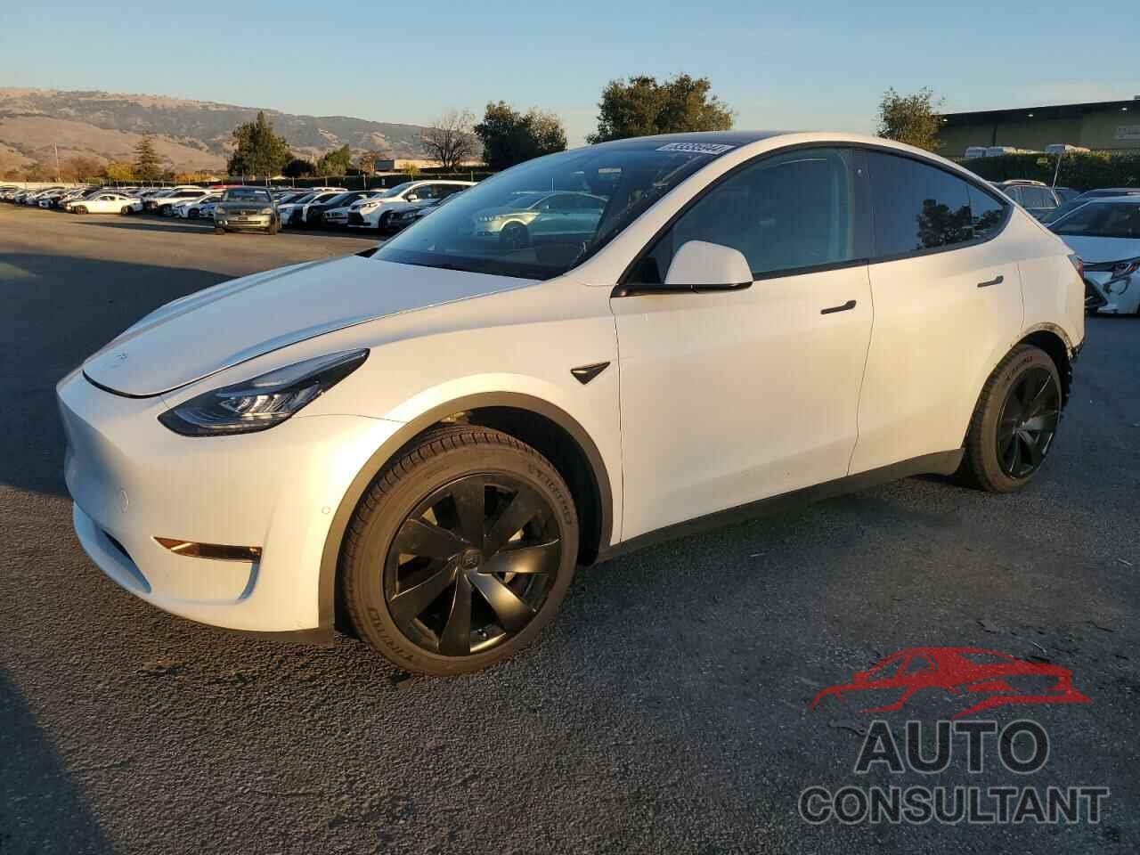 TESLA MODEL Y 2021 - 5YJYGDEE3MF276903