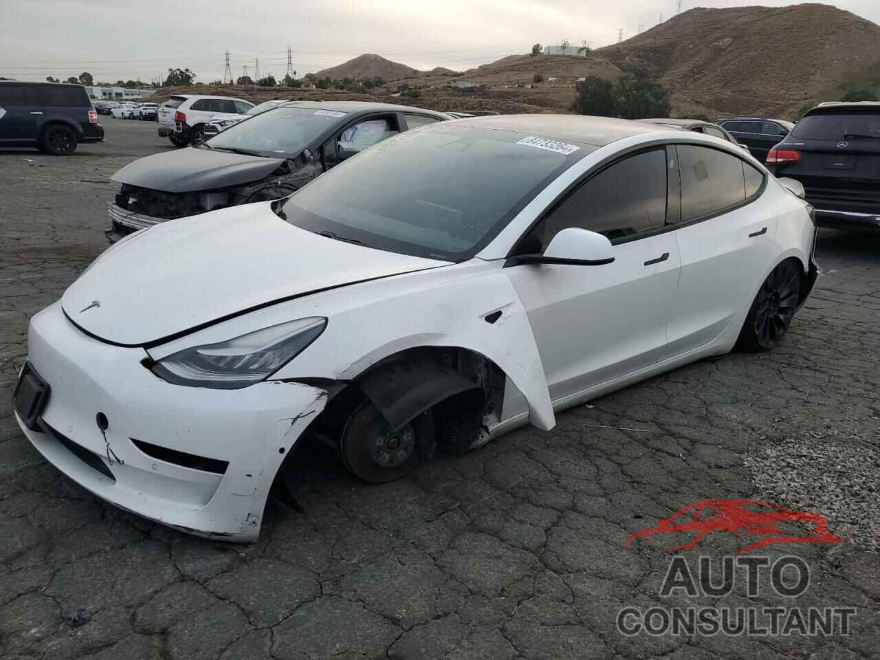 TESLA MODEL 3 2020 - 5YJ3E1EB2LF802988