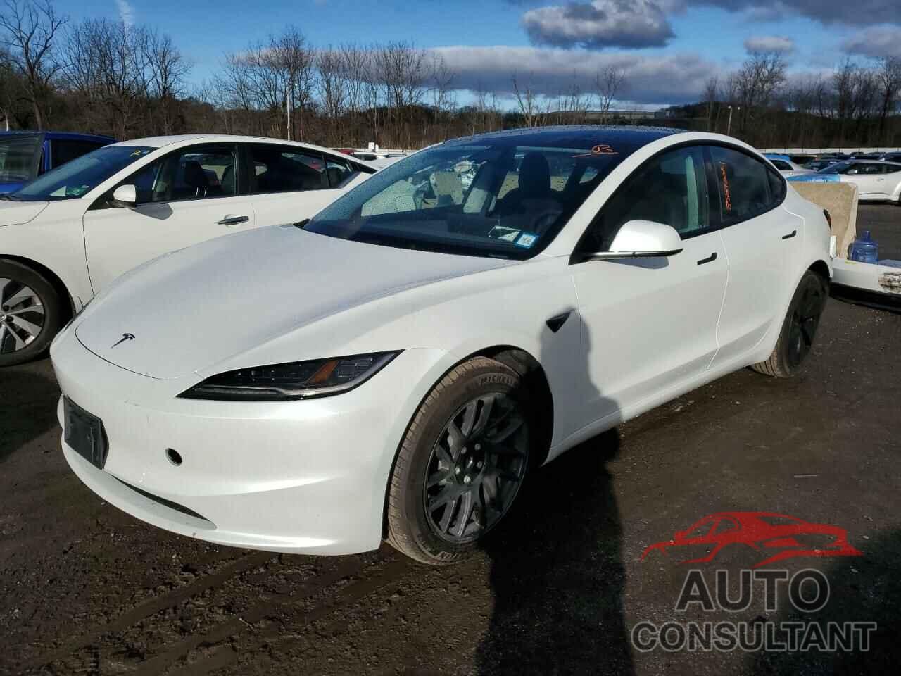 TESLA MODEL 3 2024 - 5YJ3E1EA1RF830801