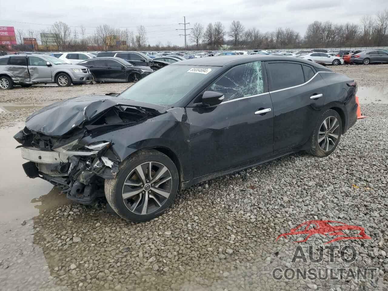 NISSAN MAXIMA 2019 - 1N4AA6AV6KC371346