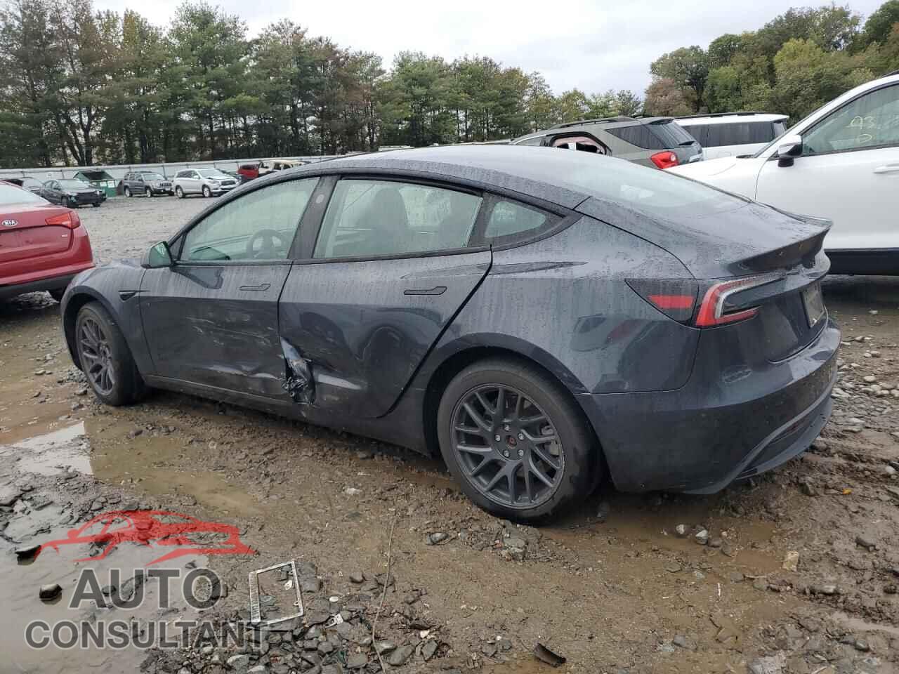 TESLA MODEL 3 2024 - 5YJ3E1EA3RF734376
