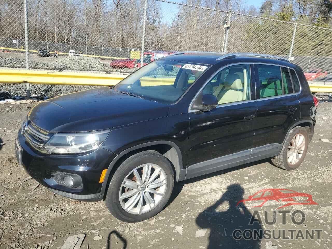 VOLKSWAGEN TIGUAN 2013 - WVGBV7AX3DW535739