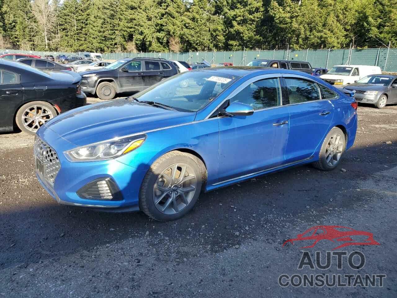 HYUNDAI SONATA 2018 - 5NPE34AB6JH625768