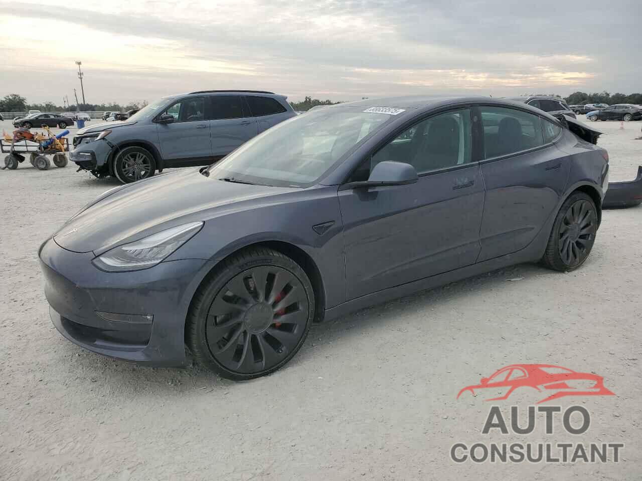 TESLA MODEL 3 2021 - 5YJ3E1EC7MF856247