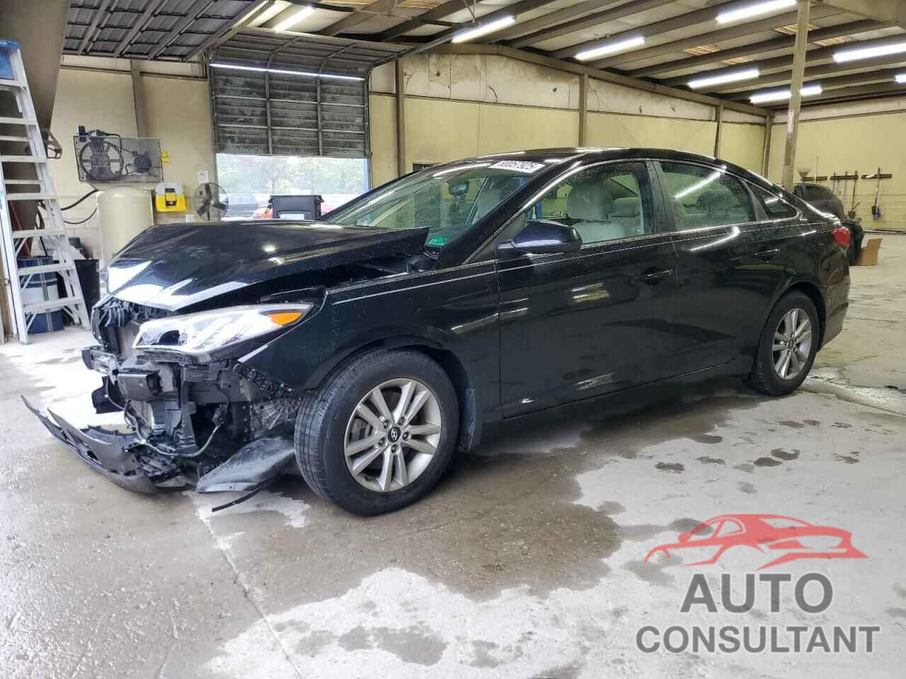 HYUNDAI SONATA 2017 - 5NPE24AF6HH524987