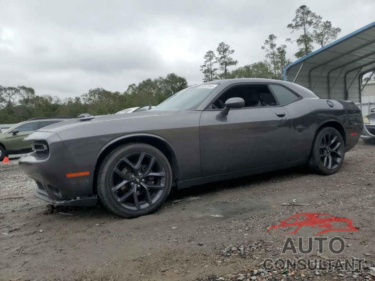 DODGE CHALLENGER 2019 - 2C3CDZAG2KH621258