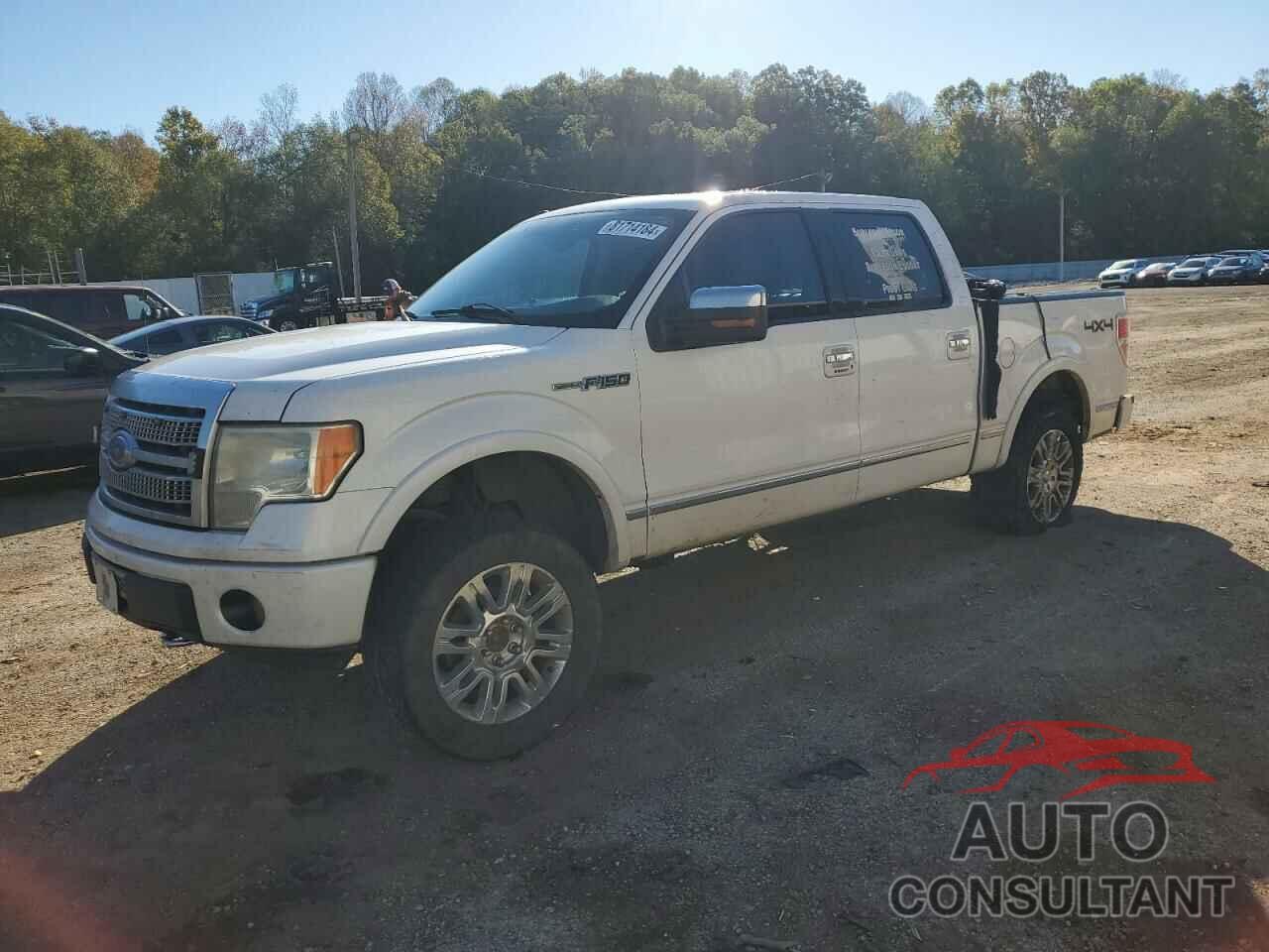 FORD F-150 2010 - 1FTFW1EV1AFA51914