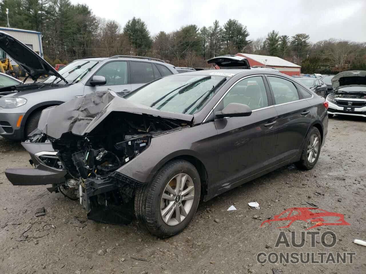 HYUNDAI SONATA 2017 - 5NPE24AF6HH459963