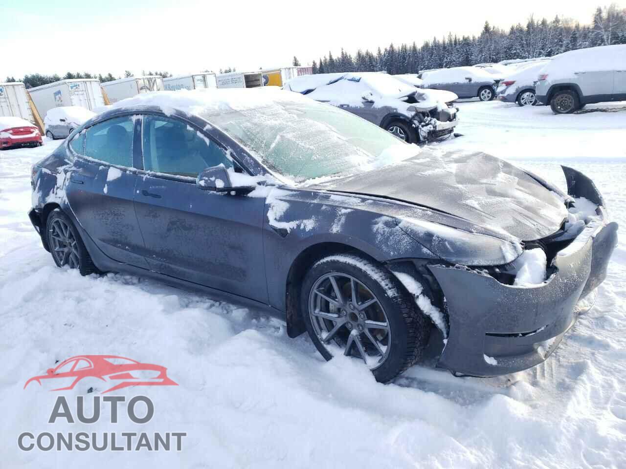 TESLA MODEL 3 2023 - LRW3E1FA9PC899953