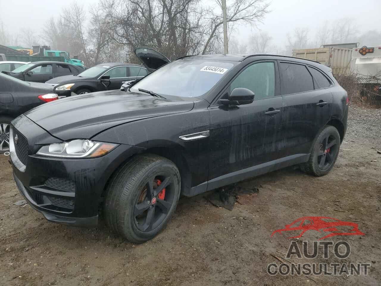 JAGUAR F-PACE 2017 - SADCJ2BN5HA097995