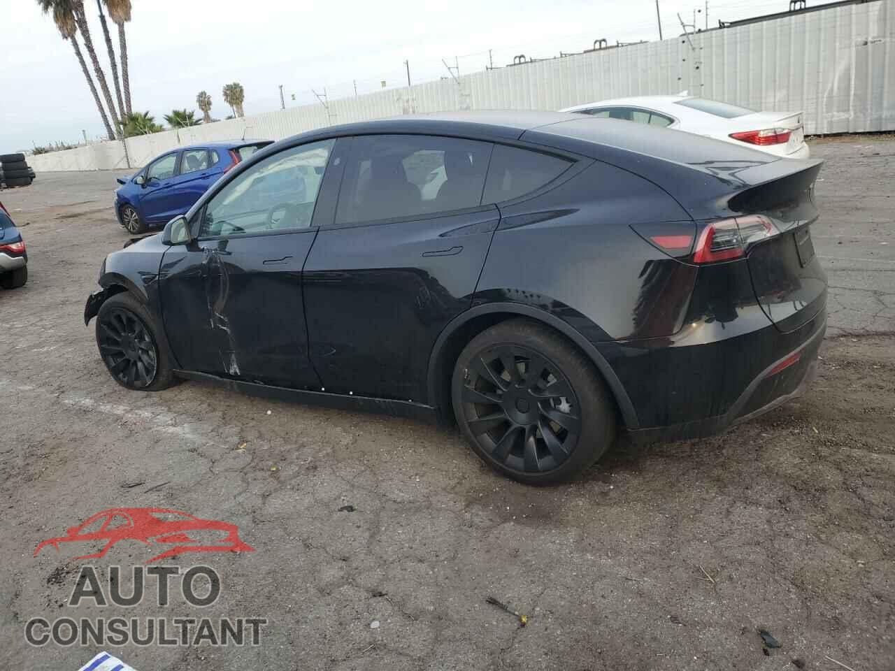 TESLA MODEL Y 2024 - 7SAYGDED8RF094440