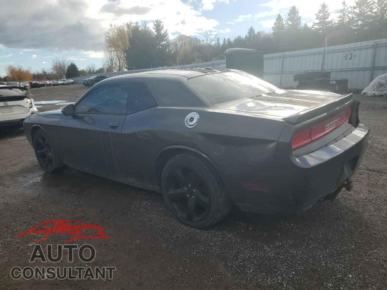 DODGE CHALLENGER 2014 - 2C3CDYAG1EH224848