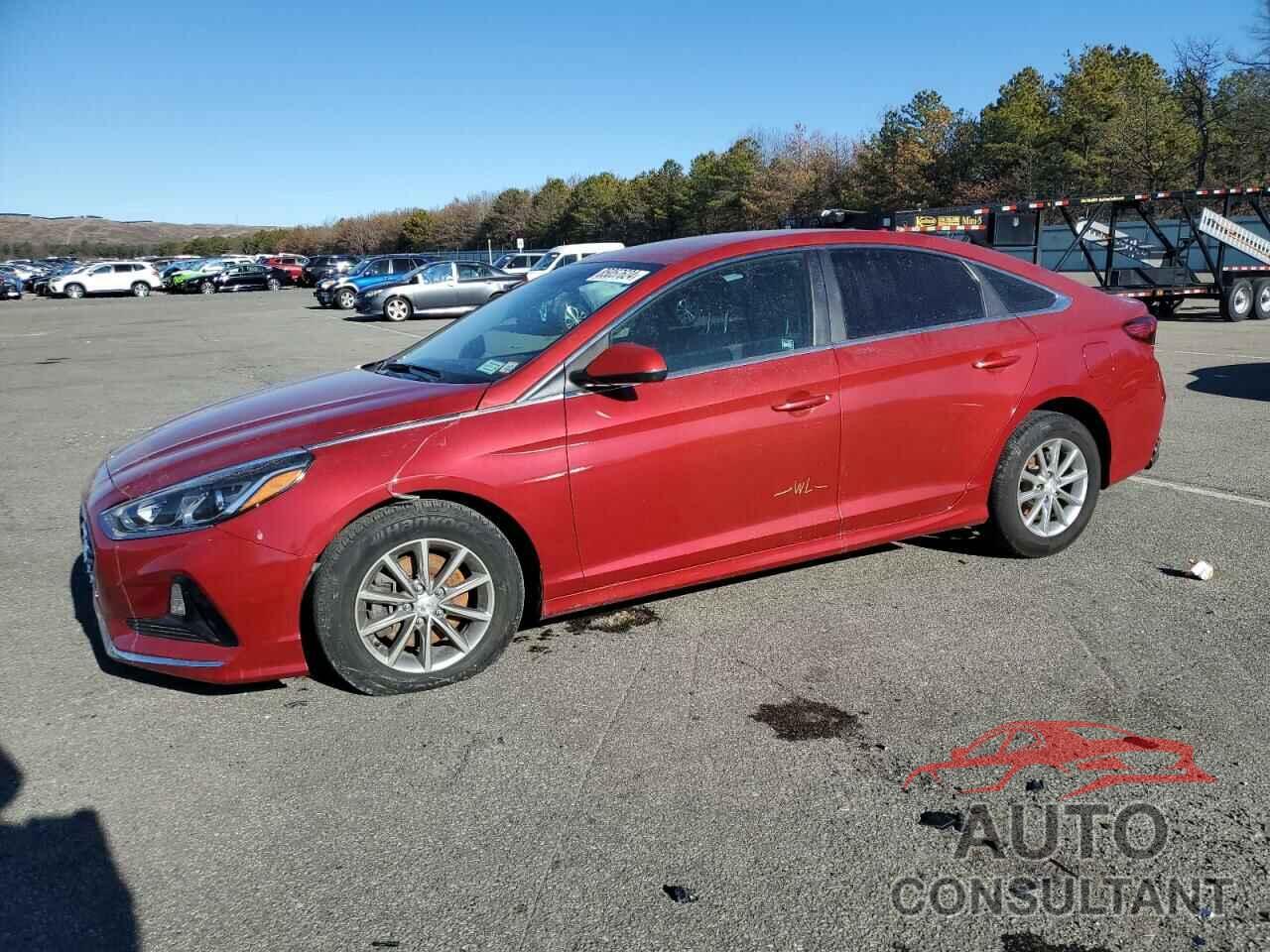 HYUNDAI SONATA 2019 - 5NPE24AF7KH744999