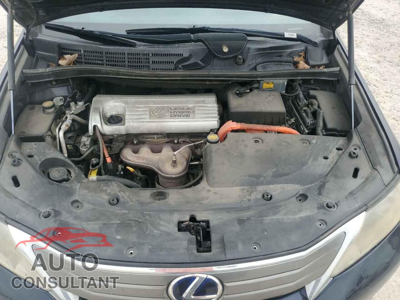 LEXUS HS 2010 - JTHBB1BA5A2021395