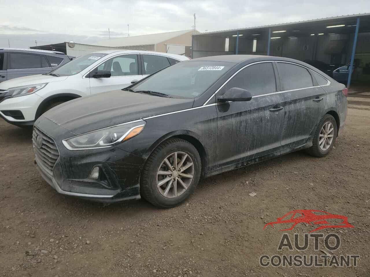 HYUNDAI SONATA 2019 - 5NPE24AF9KH753848