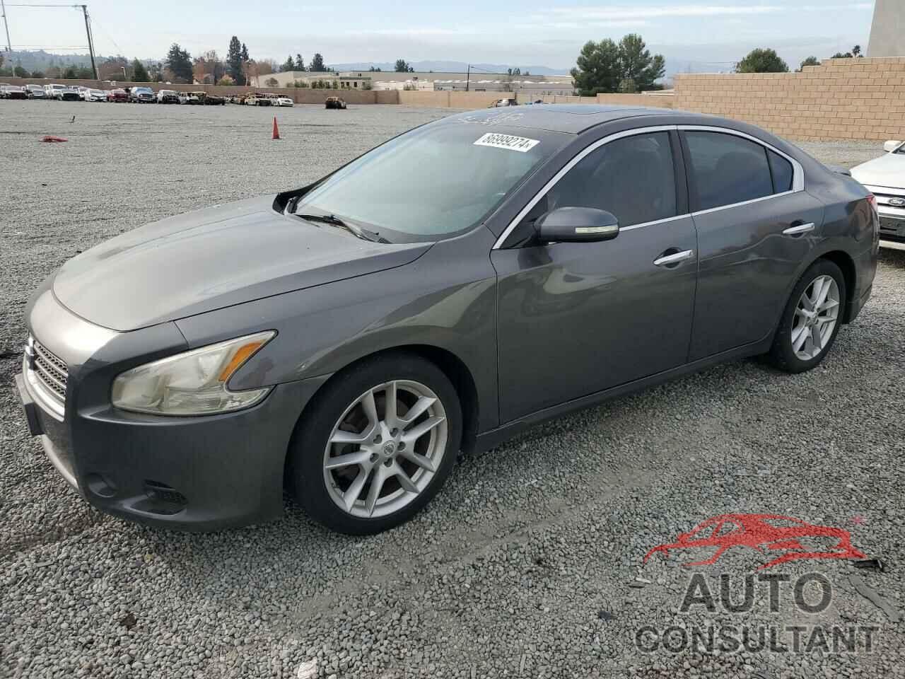 NISSAN MAXIMA 2010 - 1N4AA5APXAC867342