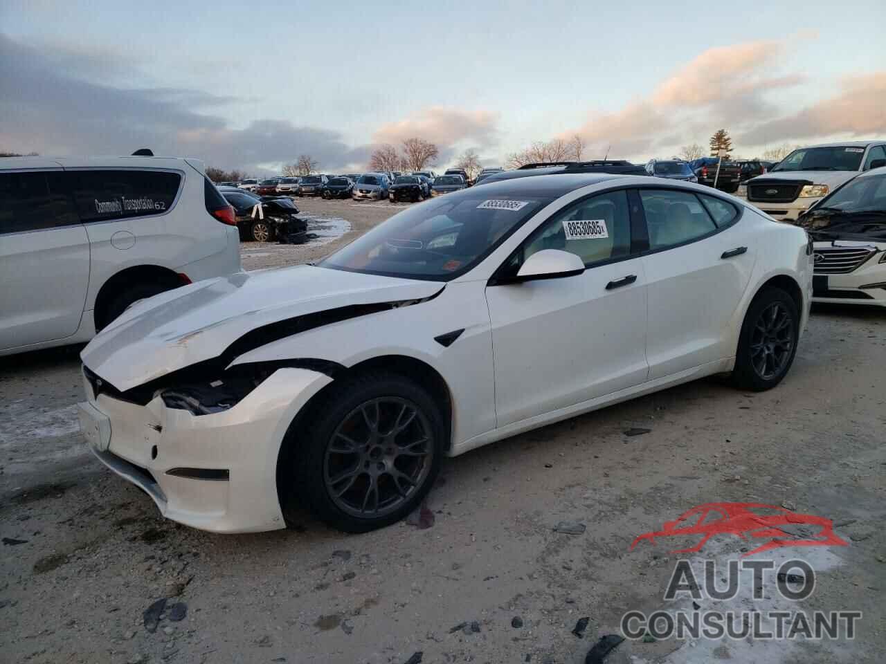 TESLA MODEL S 2023 - 5YJSA1E55PF508489