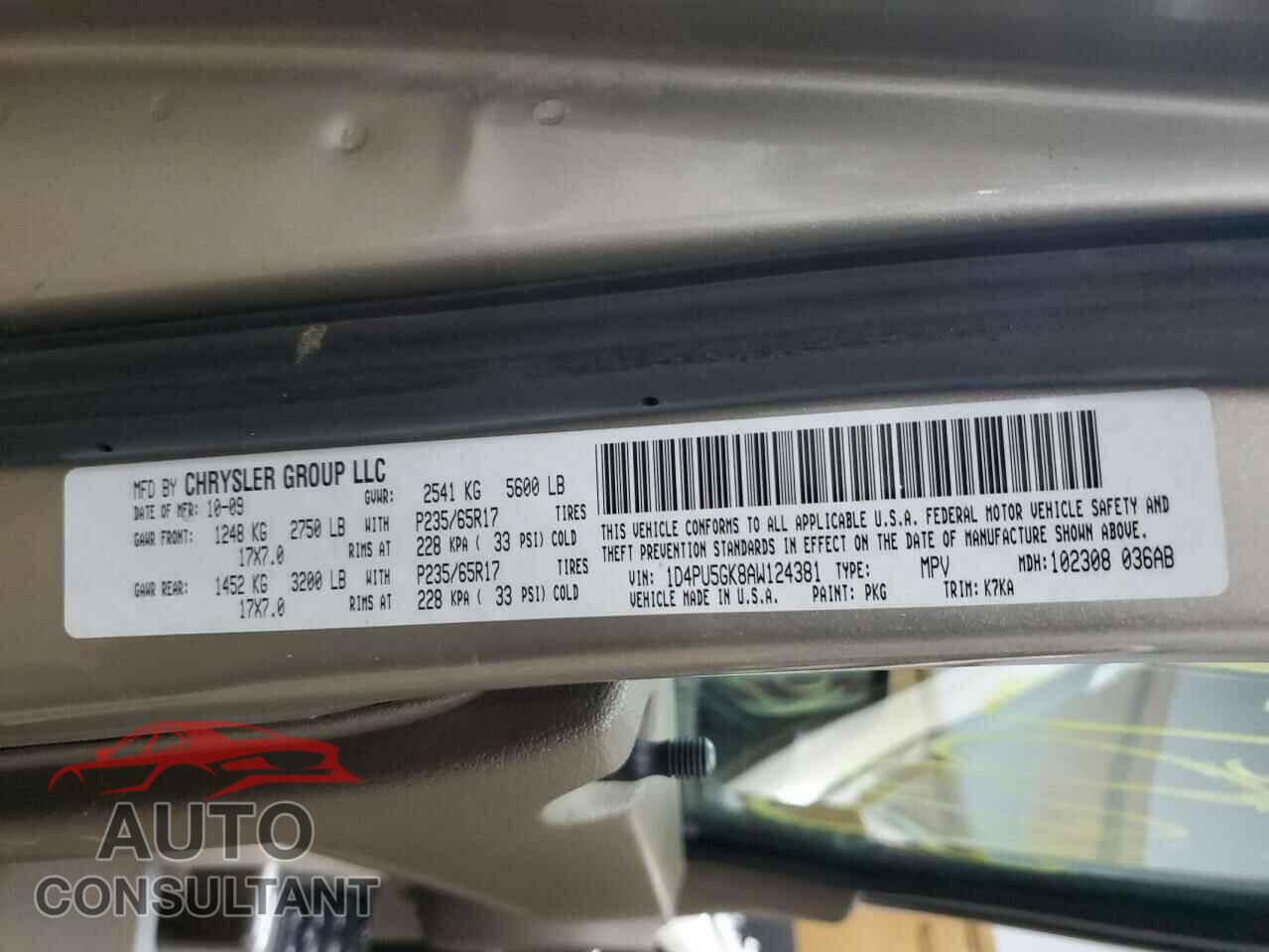 DODGE NITRO 2010 - 1D4PU5GK8AW124381