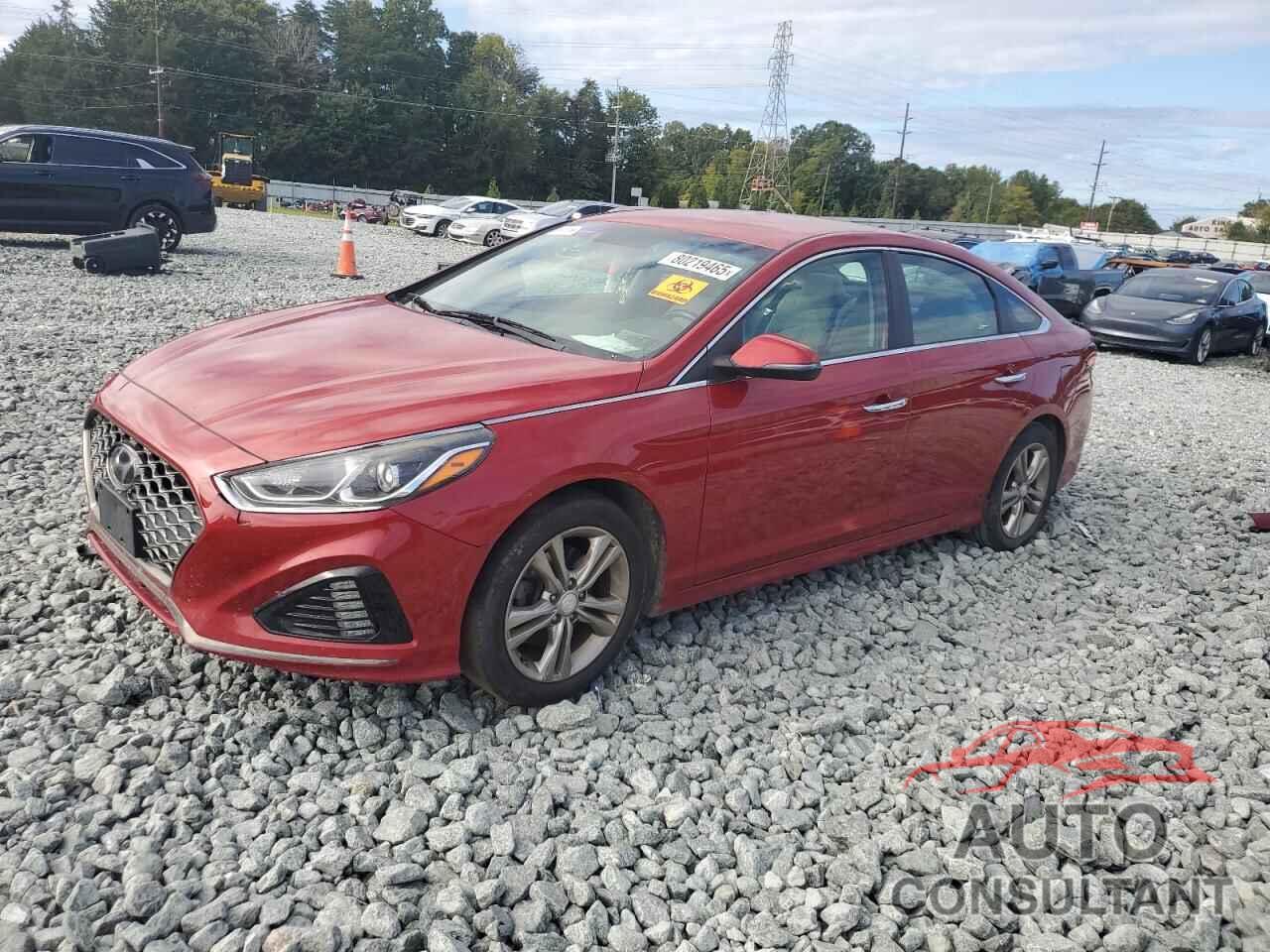 HYUNDAI SONATA 2019 - 5NPE34AF6KH776582